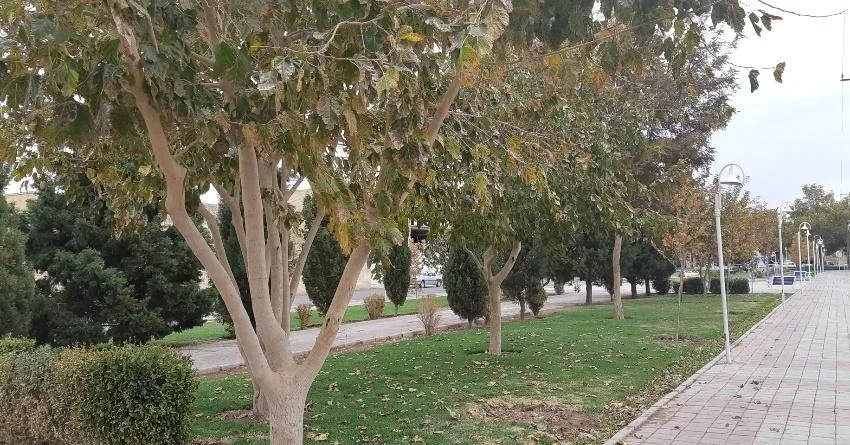 بوستان معلم رفسنجان با فضای سبز و محیطی آرام - در رفسنجان کجاست