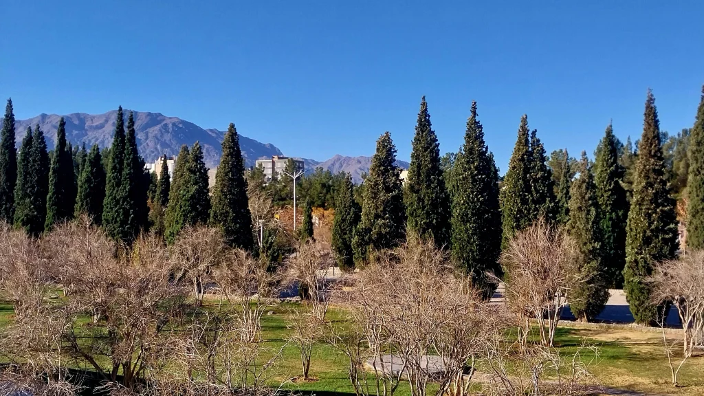پارک پروفسور معتمدنژاد بیرجند