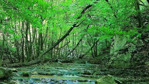 محبوب ترین پارک ملارد