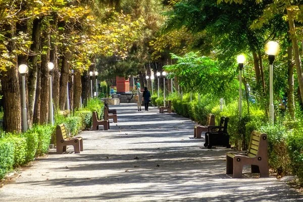 پارک جنگلی در بیرجند کجاست؟